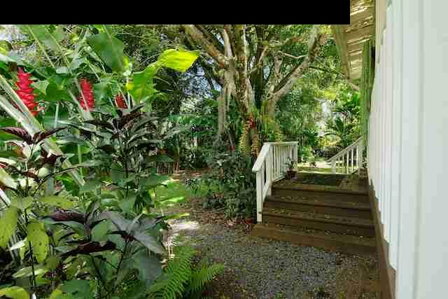 490 Kaupakalua Road Haiku, HI 96708 - Photo 30 of 30 a view of path along with trees