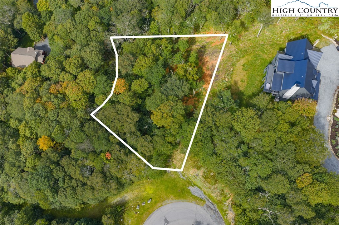 11 Fox Crest Road Beech Mountain, NC 28604 - Photo 12 of 15 a bird view of a garden