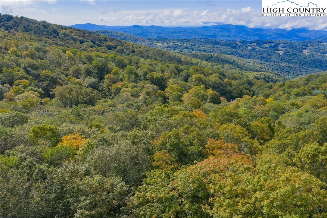 11 Fox Crest Road Beech Mountain, NC 28604 - Photo 13 of 15 a view of a forest with a lush green hillside