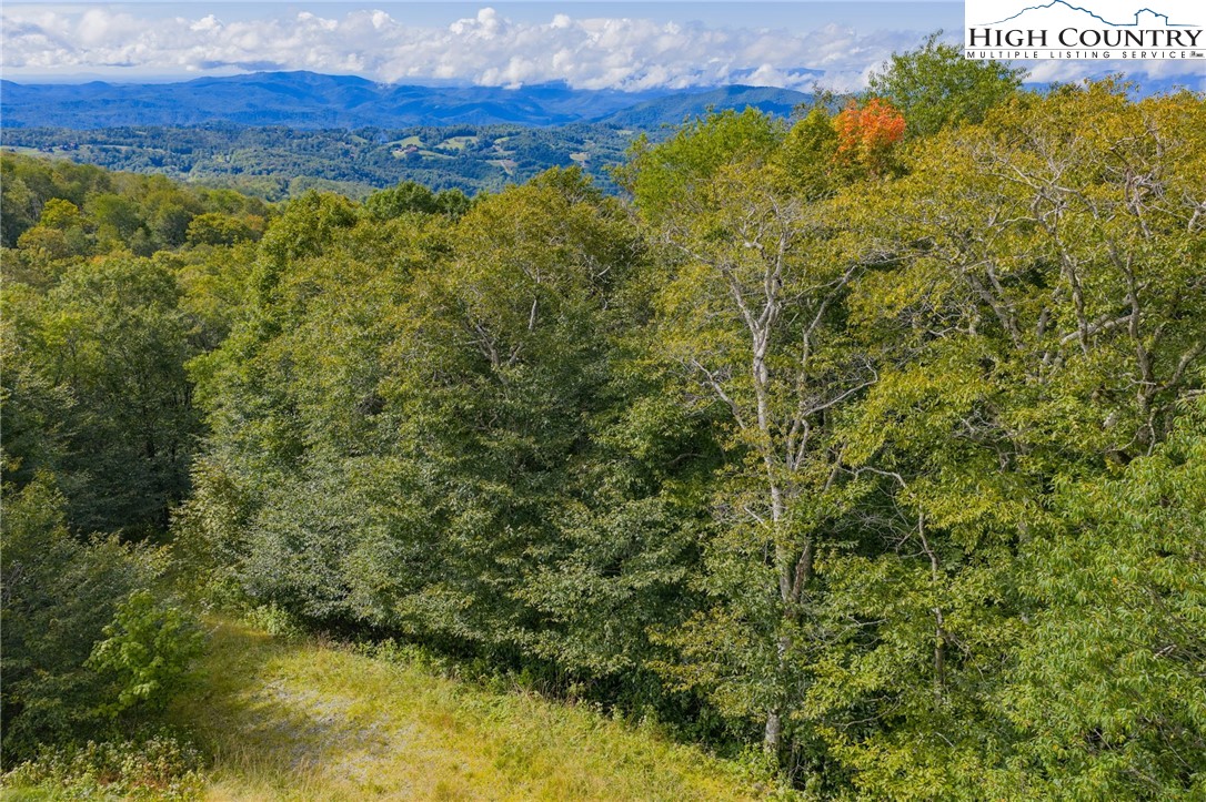 11 Fox Crest Road Beech Mountain, NC 28604 - Photo 14 of 15 a view of a forest