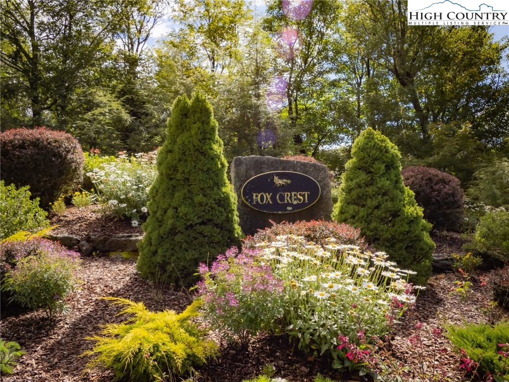 11 Fox Crest Road Beech Mountain, NC 28604 - Photo 2 of 15 a view of a yard with plants and large trees