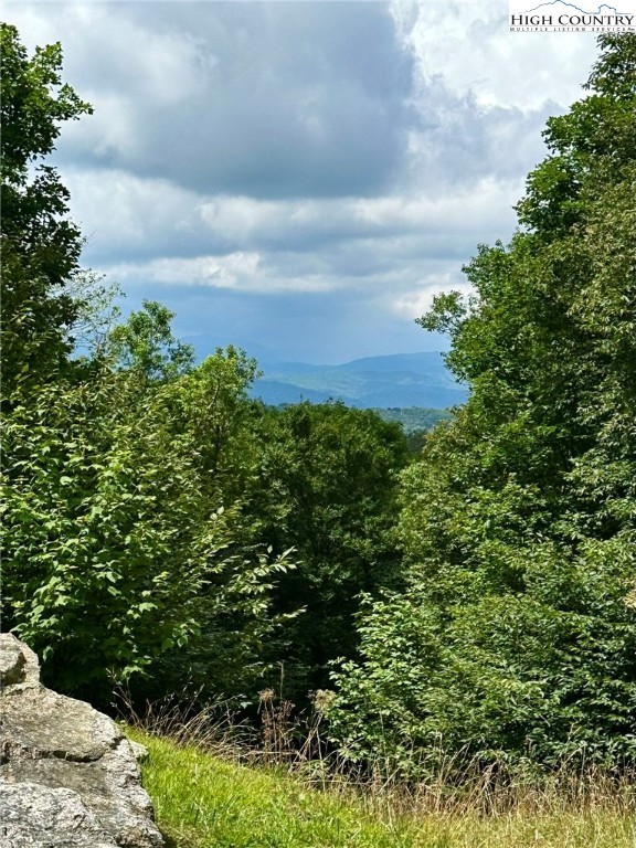 11 Fox Crest Road Beech Mountain, NC 28604 - Photo 3 of 15 a view of a garden