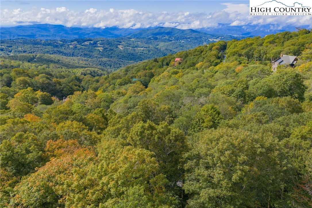 11 Fox Crest Road Beech Mountain, NC 28604 - Photo 5 of 15 a view of a field with an ocean