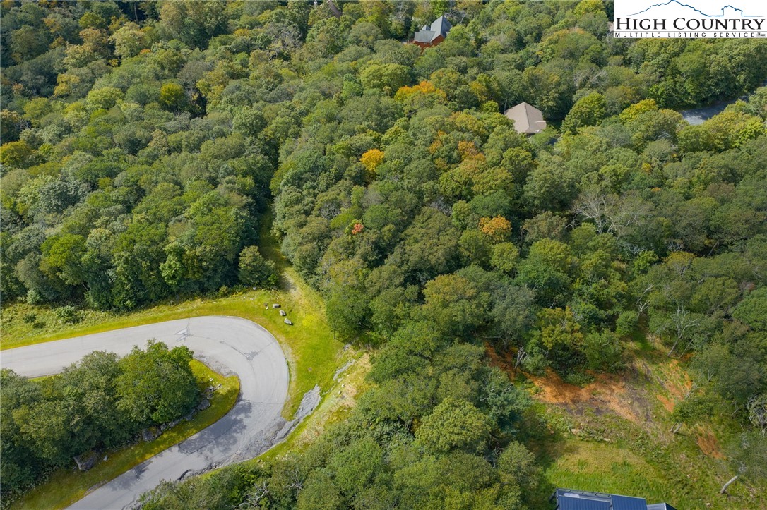 11 Fox Crest Road Beech Mountain, NC 28604 - Photo 6 of 15 a view of a yard with plants
