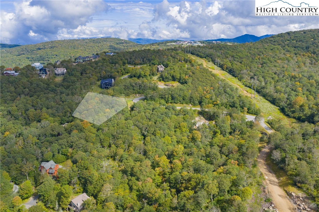 11 Fox Crest Road Beech Mountain, NC 28604 - Photo 7 of 15 a view of a bunch of flowers in front of house