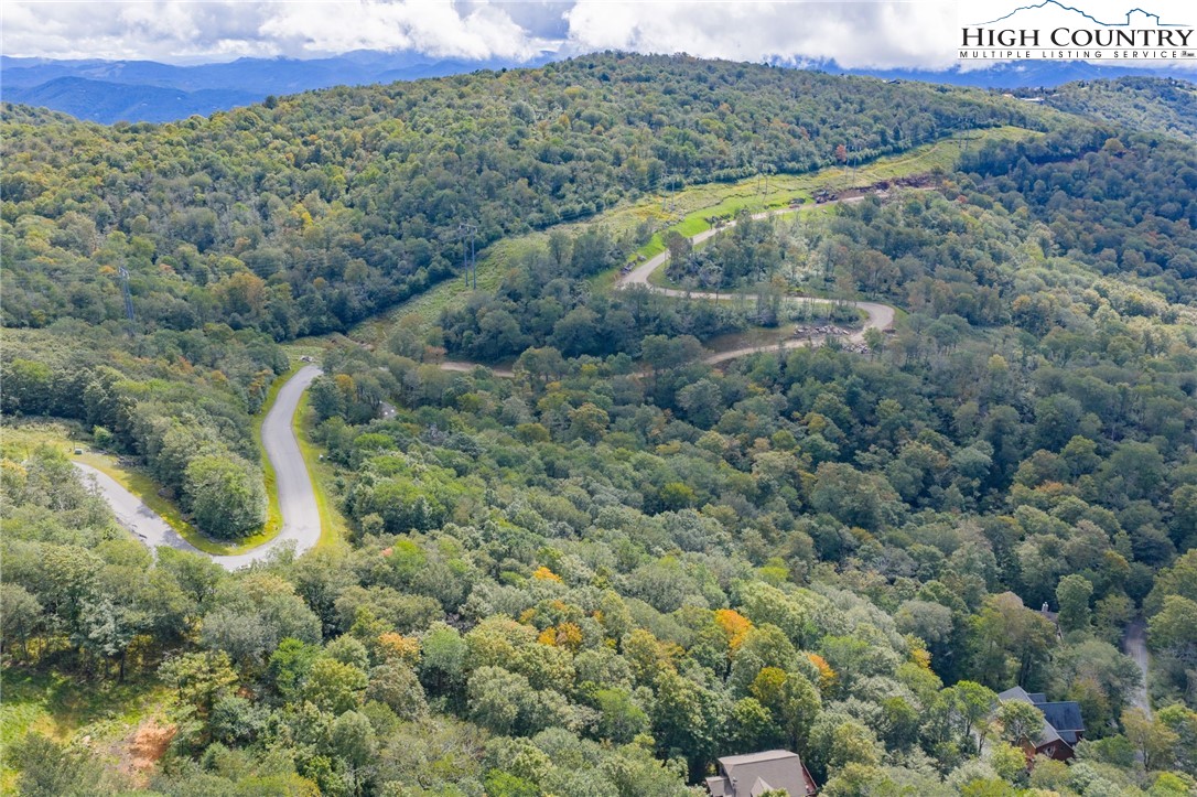 11 Fox Crest Road Beech Mountain, NC 28604 - Photo 8 of 15 a view of a field with a forest