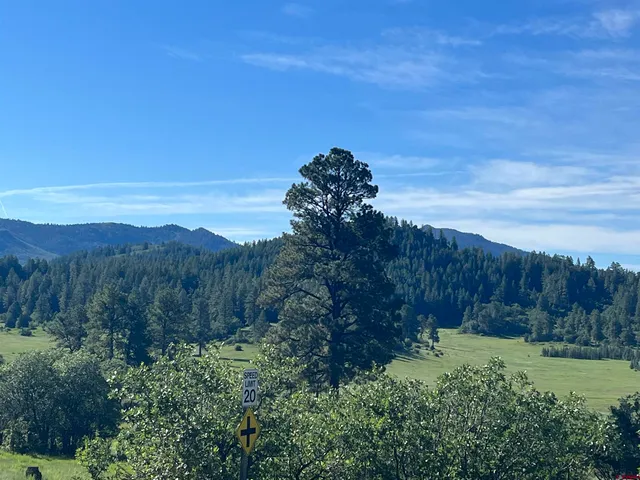 a view of a back yard