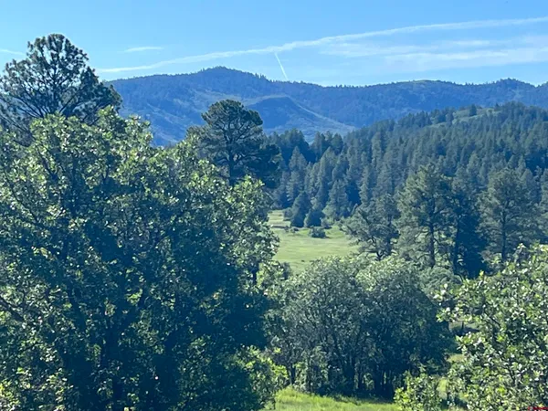 a view of a lush green forest with a mountain in the background