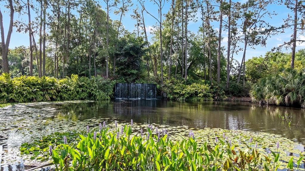 102 Camino Real, Unit 102 Howey-in-the-Hills, FL 34737 - Photo 52 of 62 a body of water with a tree in the background