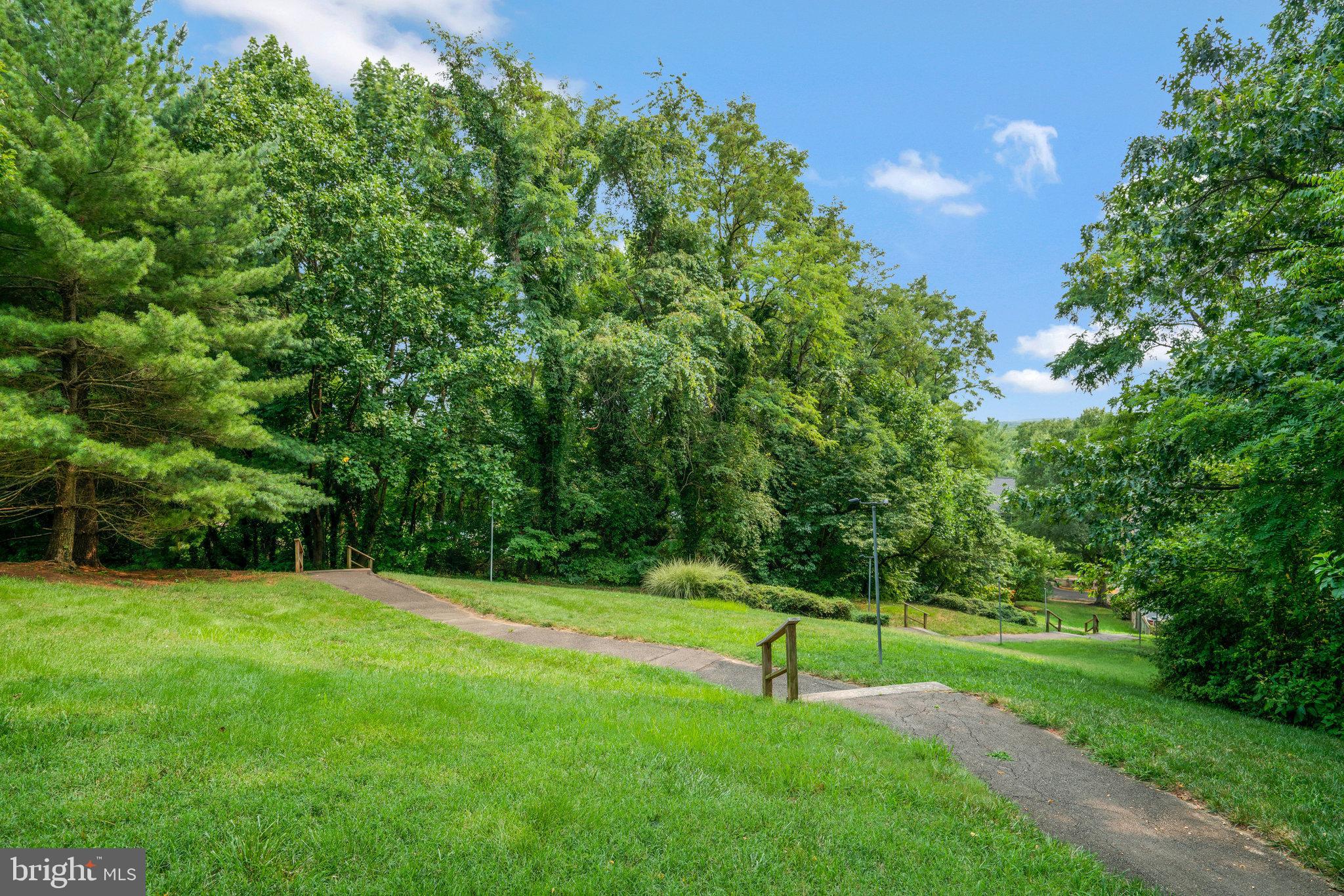 3639 Ransom Place Alexandria, VA 22306 - Photo 71 of 71 Commons area and sunset view!!!
