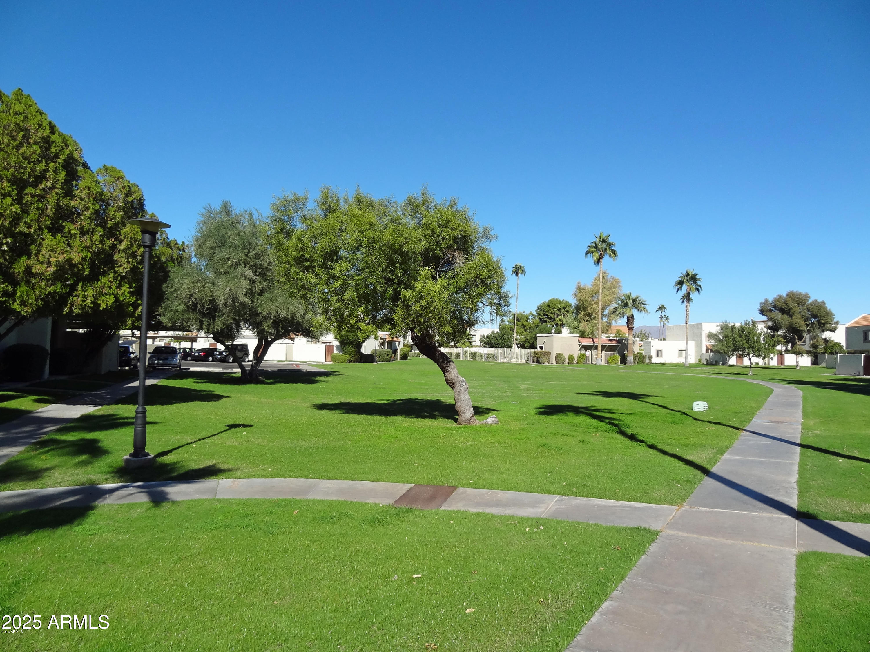 6018 North 79th Street Scottsdale, AZ 85250 - Photo 24 of 24 a view of a park with plants and trees
