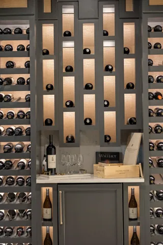 a view of a patio with couches and a potted plant on a table