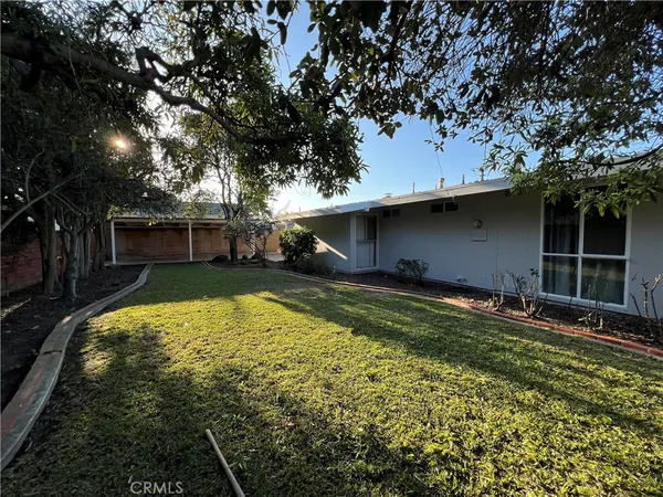 a view of a backyard with a large tree
