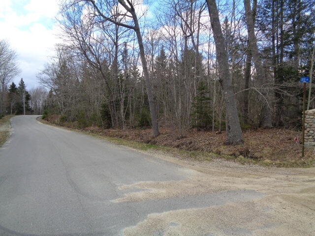Lot 8 Tom Leighton Point Road Milbridge, ME 04658 - Photo 8 of 12 DSC05299