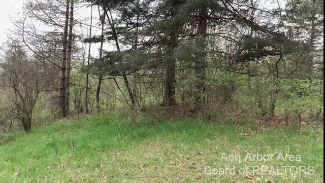 4 Bowens Road Manchester, MI 48158 - Photo 4 of 9 Photo 4