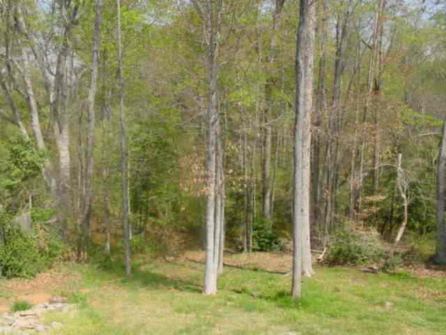 103 Rivereen Way Simpsonville, SC 29680 - Photo 8 of 9 Gallery Image 8