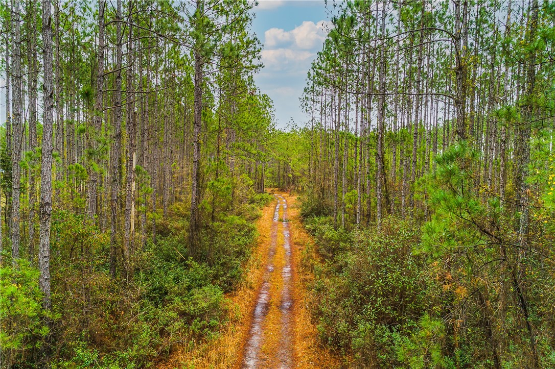 Sheared Stokes Road Hilliard, FL 32046 - Photo 21 of 21 Gallery Image 21