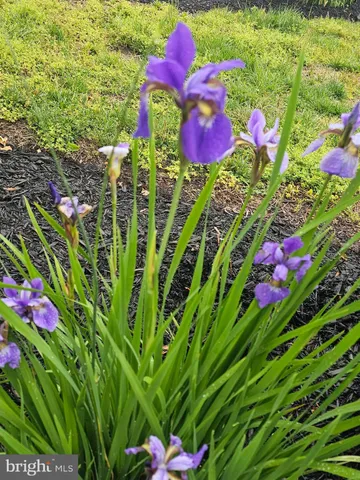 $499,000 | 39020 Sonnie Way, Clements, MD 20624