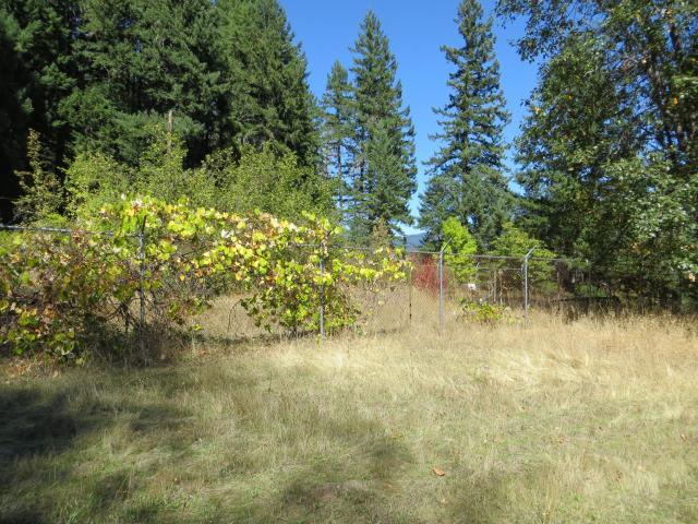2500 Van Duzen Road Bridgeville, CA 95526 - Photo 10 of 48