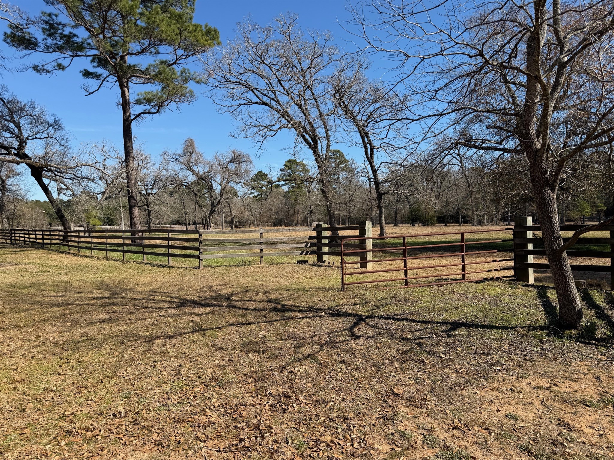 31928 Reids Prairie Road Waller, TX 77484 - Photo 43 of 49