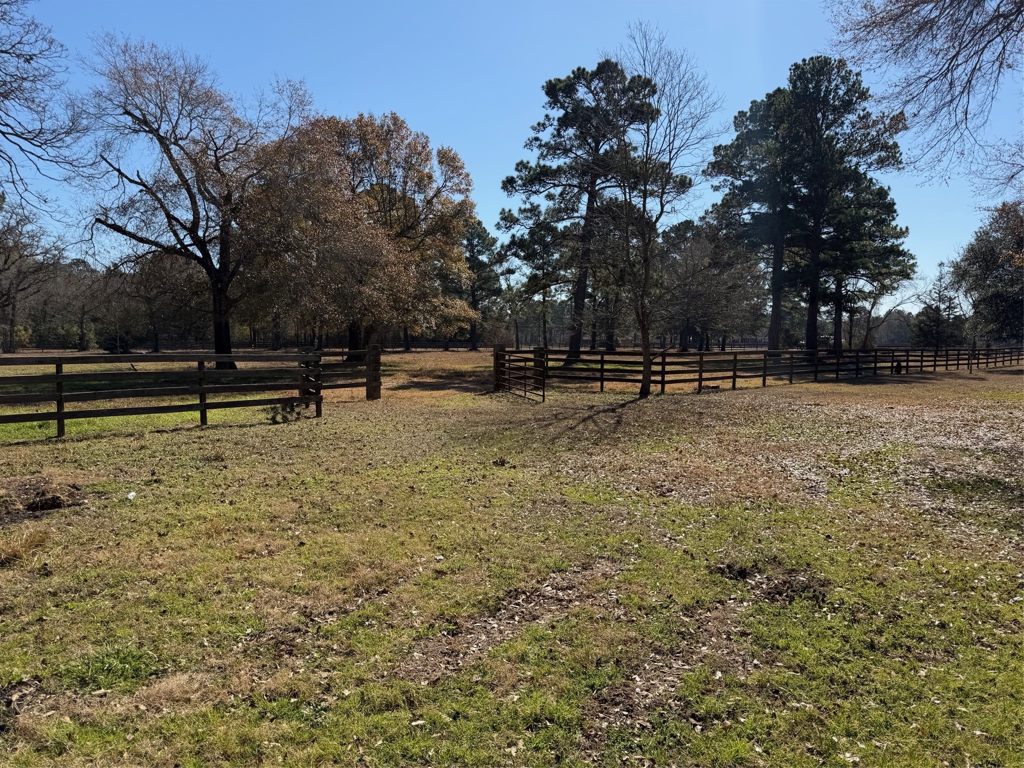 31928 Reids Prairie Road Waller, TX 77484 - Photo 44 of 49