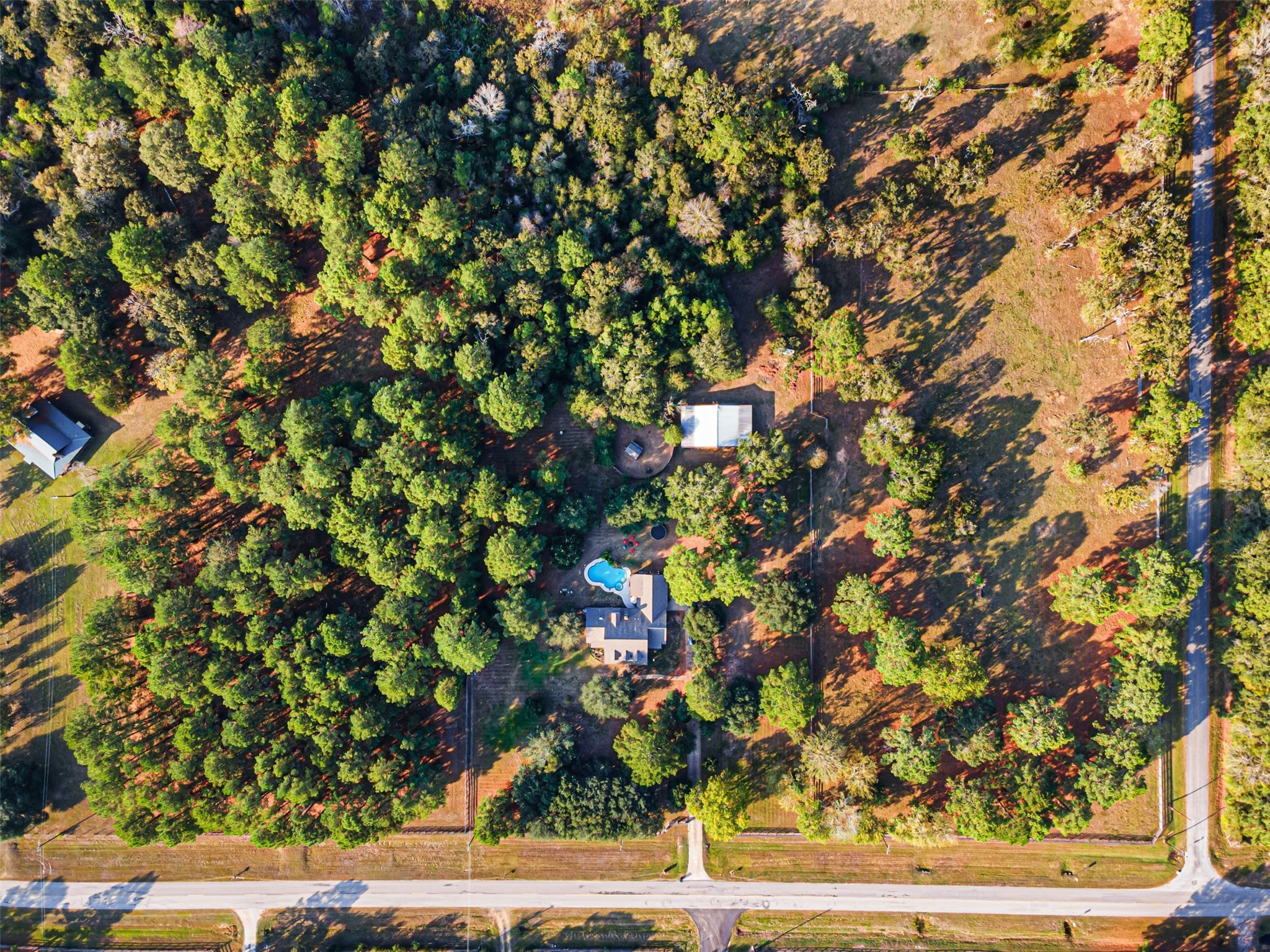 31928 Reids Prairie Road Waller, TX 77484 - Photo 46 of 49 a backyard of a house with lots of tree