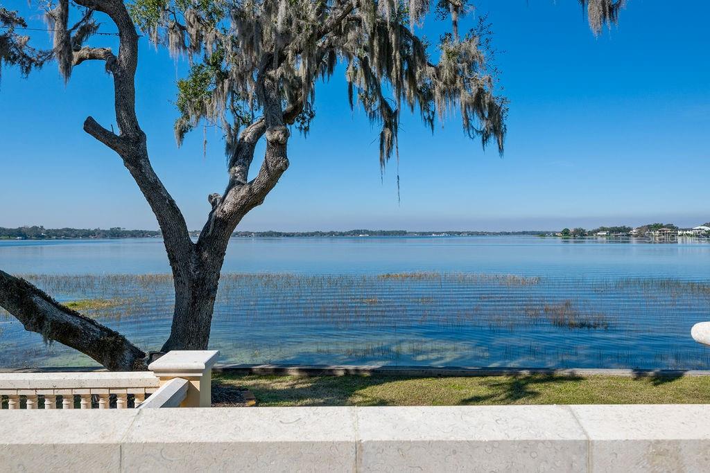 4200 Down Point Lane Windermere, FL 34786 - Photo 53 of 63 a view of a yard with an outdoor space