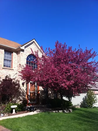 $639,000 | 113 Woodlet Lane, Bolingbrook, IL 60490