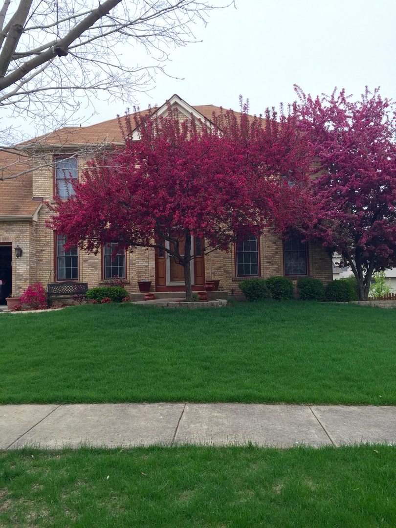 113 Woodlet Lane Bolingbrook, IL 60490 - Photo 4 of 76