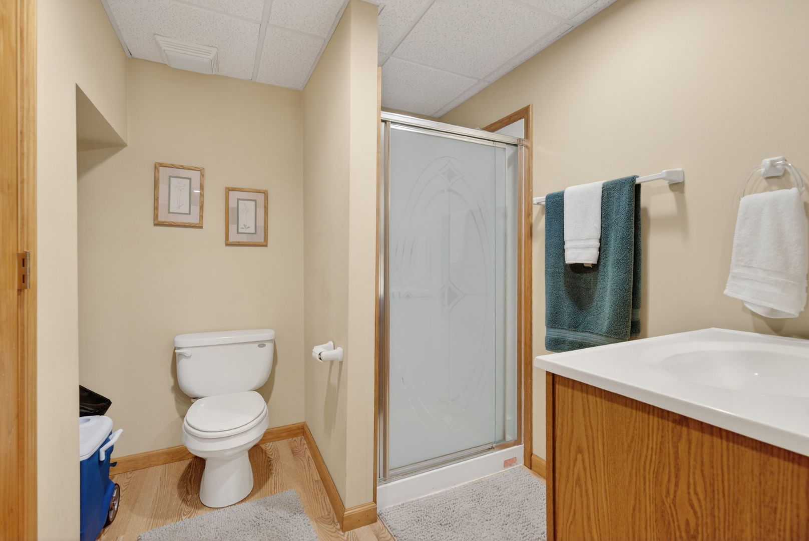 113 Woodlet Lane Bolingbrook, IL 60490 - Photo 59 of 76