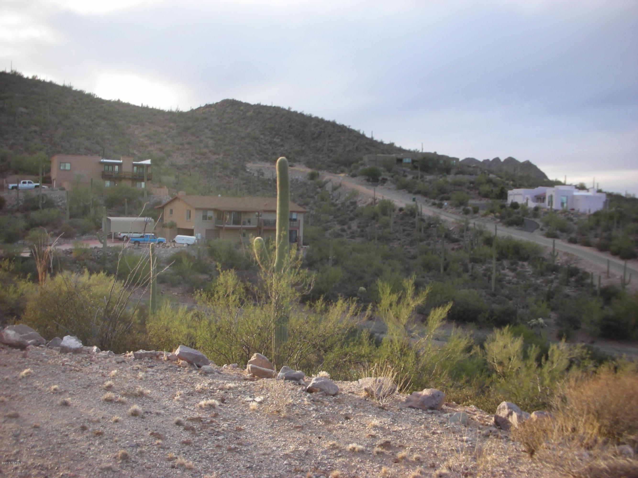 5025 North Vía Roma Tucson, AZ 85745 - Photo 9 of 10 a view of a lake from a yard