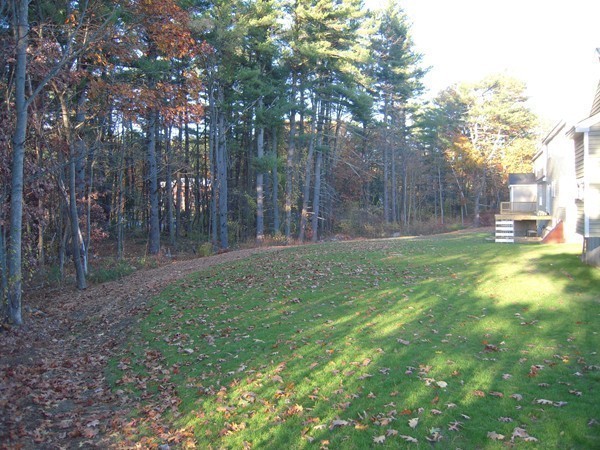 Lot 2 Liberty Square Road, Unit 1 Boxborough, MA 01719 - Photo 8 of 12 a garden view with large trees