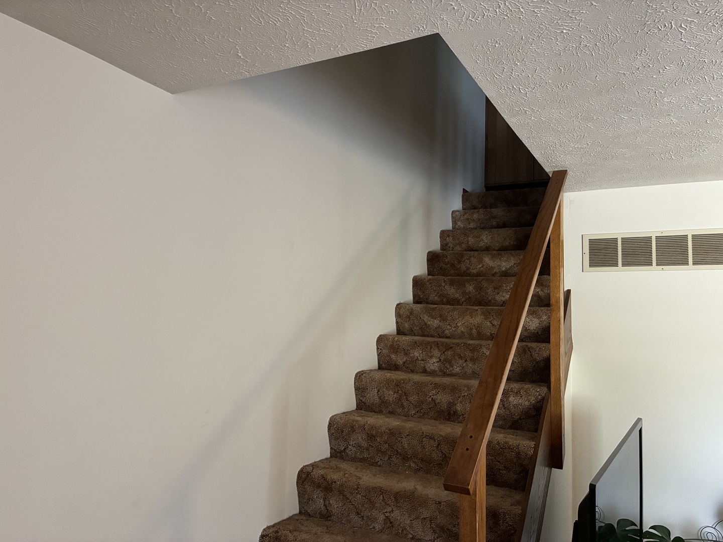 205 Logan Street Atlanta, IL 61723 - Photo 8 of 22