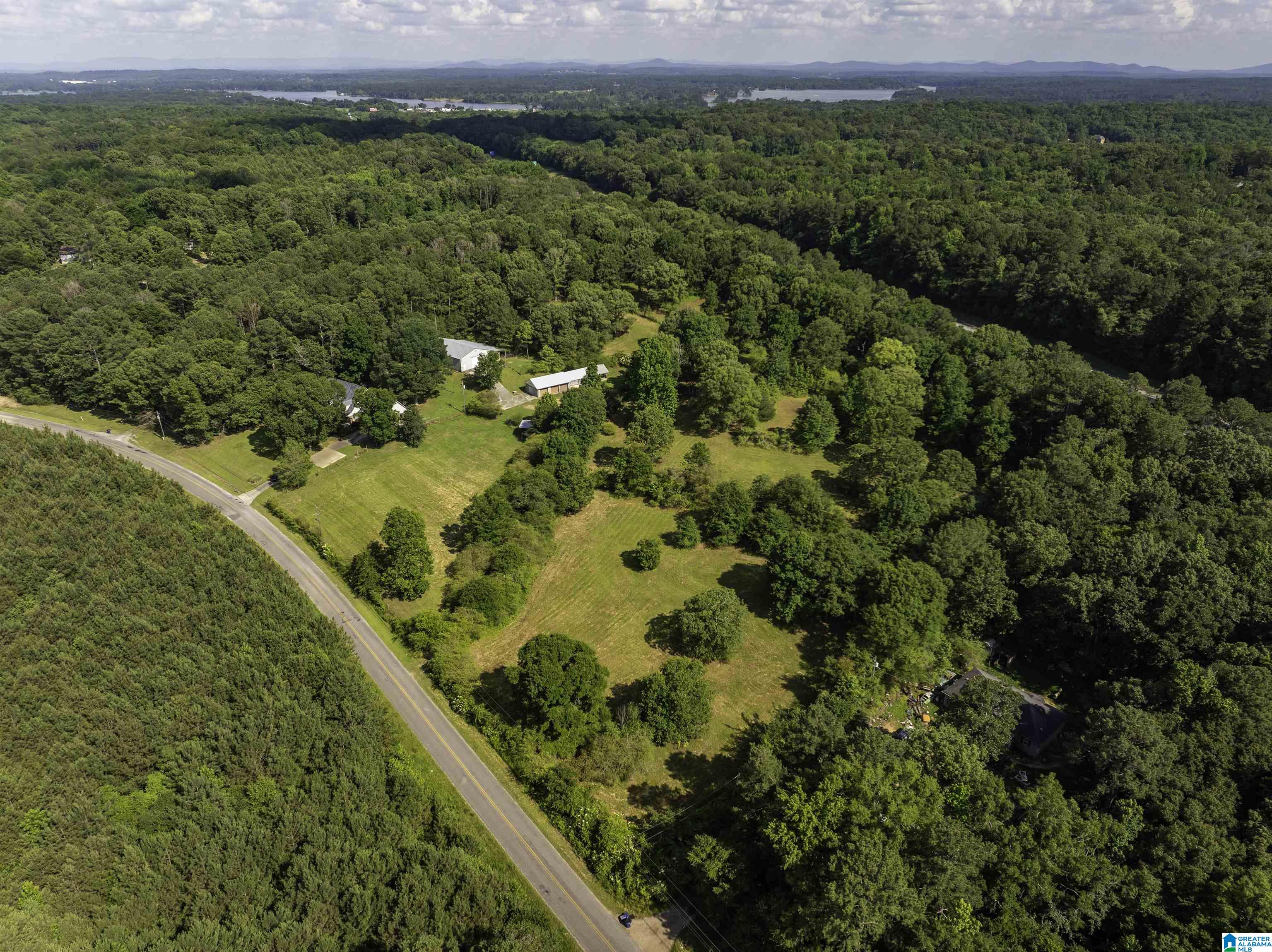 2500 Sprayberry Road Pell City, AL 35125 - Photo 10 of 76