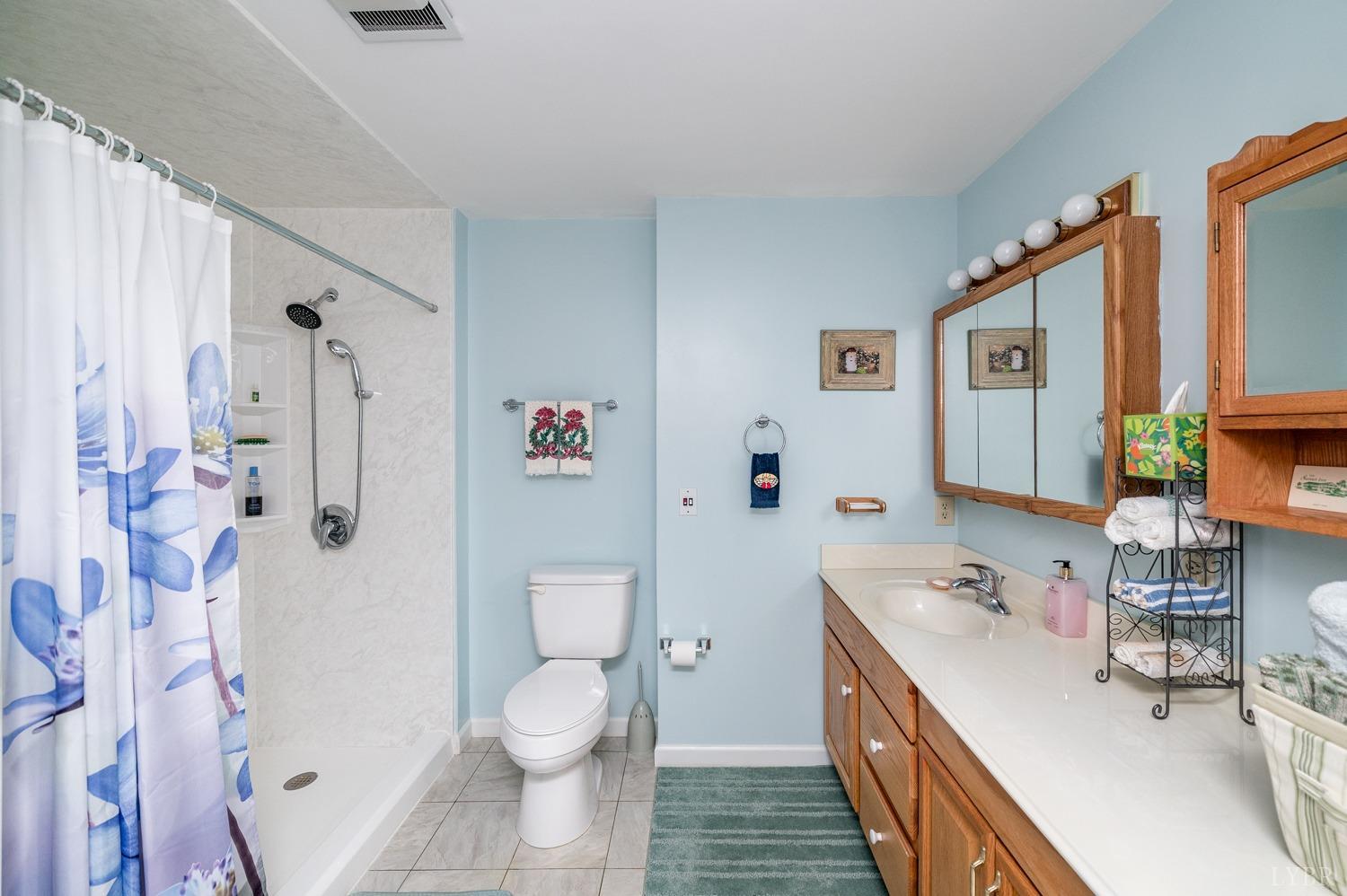 3930 Hales Ford Road Moneta, VA 24121 - Photo 46 of 65 Gallery Image 46