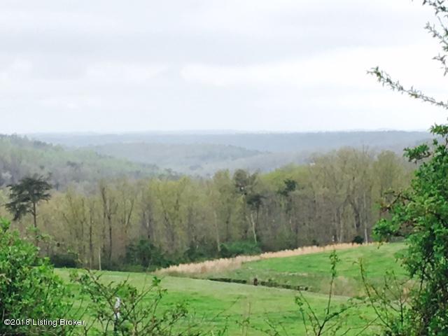 270 Union Light Church Road Mammoth Cave, KY 42259 - Photo 1 of 23 What a View!!