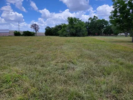 a view of a grassy field with trees in the background