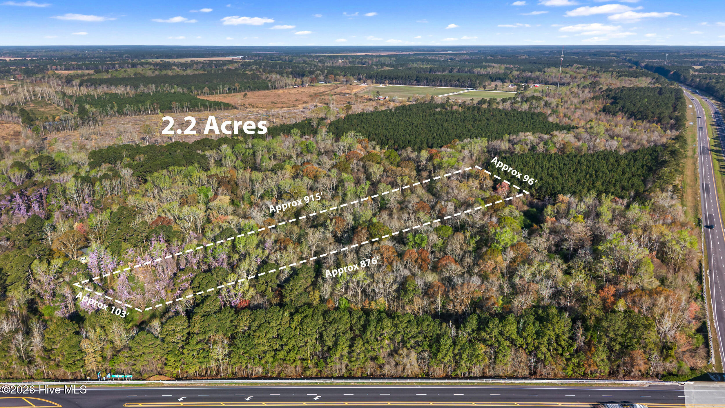 351 Burgaw Creek Loop Road Burgaw, NC 28425 - Photo 1 of 17 DJI_20260323091832_0007_D-Dim