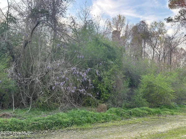 $47,500 | 351 Burgaw Creek Loop Road, Burgaw, NC 28425