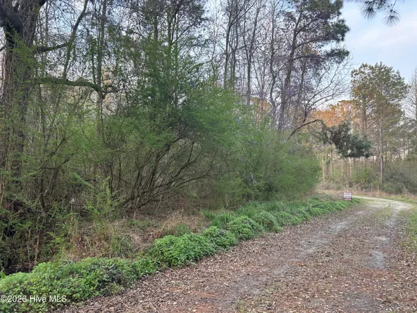 $47,500 | 351 Burgaw Creek Loop Road, Burgaw, NC 28425