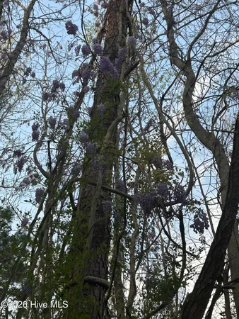 $47,500 | 351 Burgaw Creek Loop Road, Burgaw, NC 28425