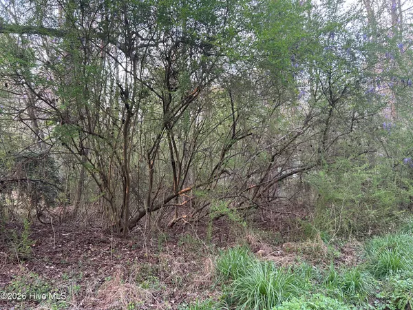 $47,500 | 351 Burgaw Creek Loop Road, Burgaw, NC 28425