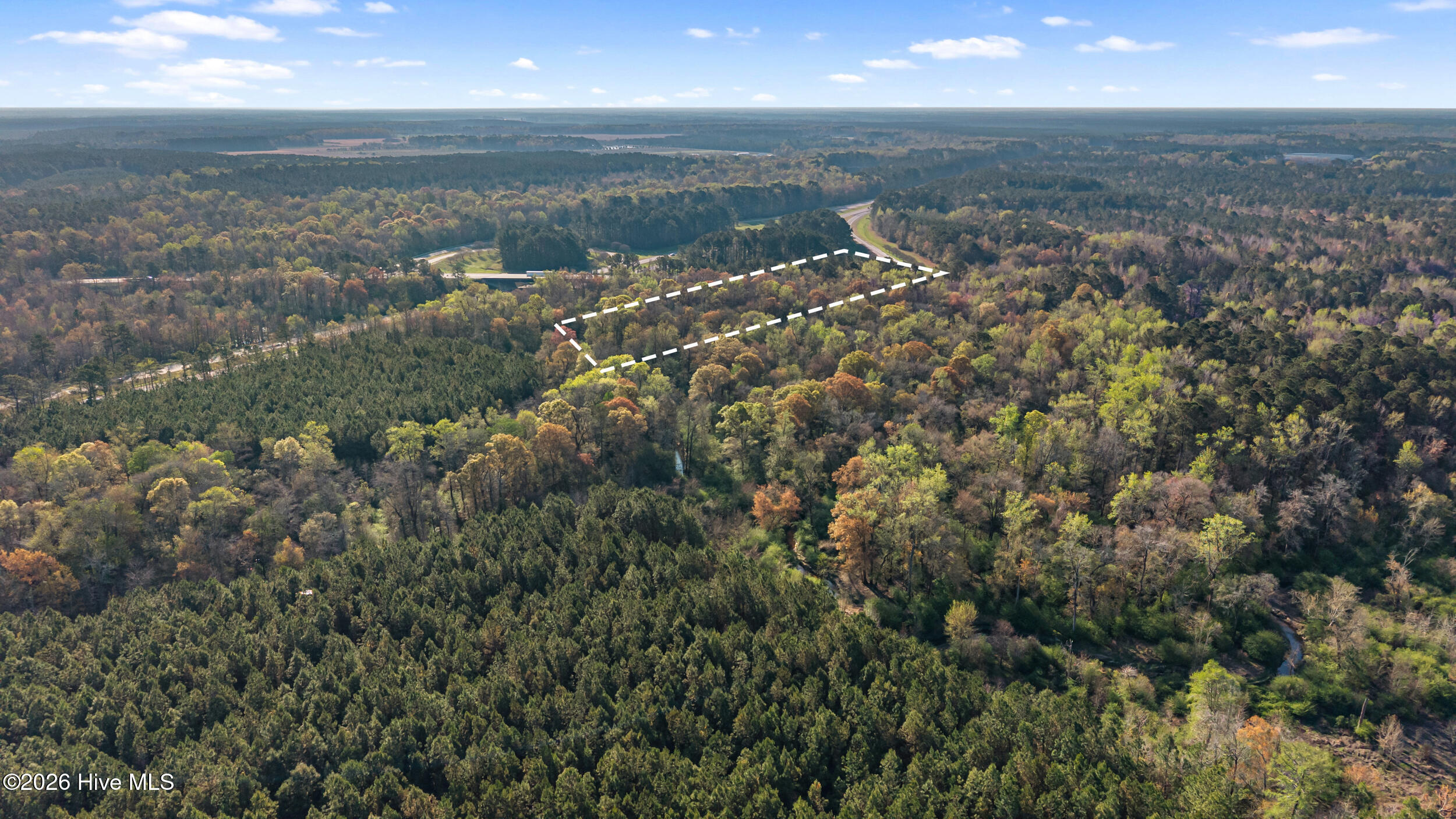 351 Burgaw Creek Loop Road Burgaw, NC 28425 - Photo 6 of 17 DJI_20260323092555_0025_D