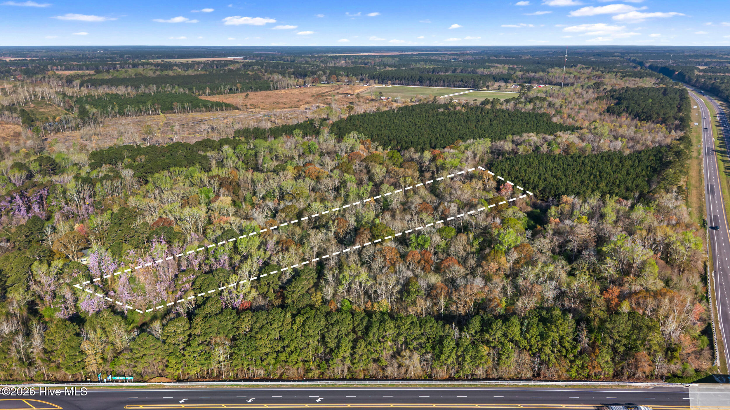 351 Burgaw Creek Loop Road Burgaw, NC 28425 - Photo 9 of 17 DJI_20260323091832_0007_D
