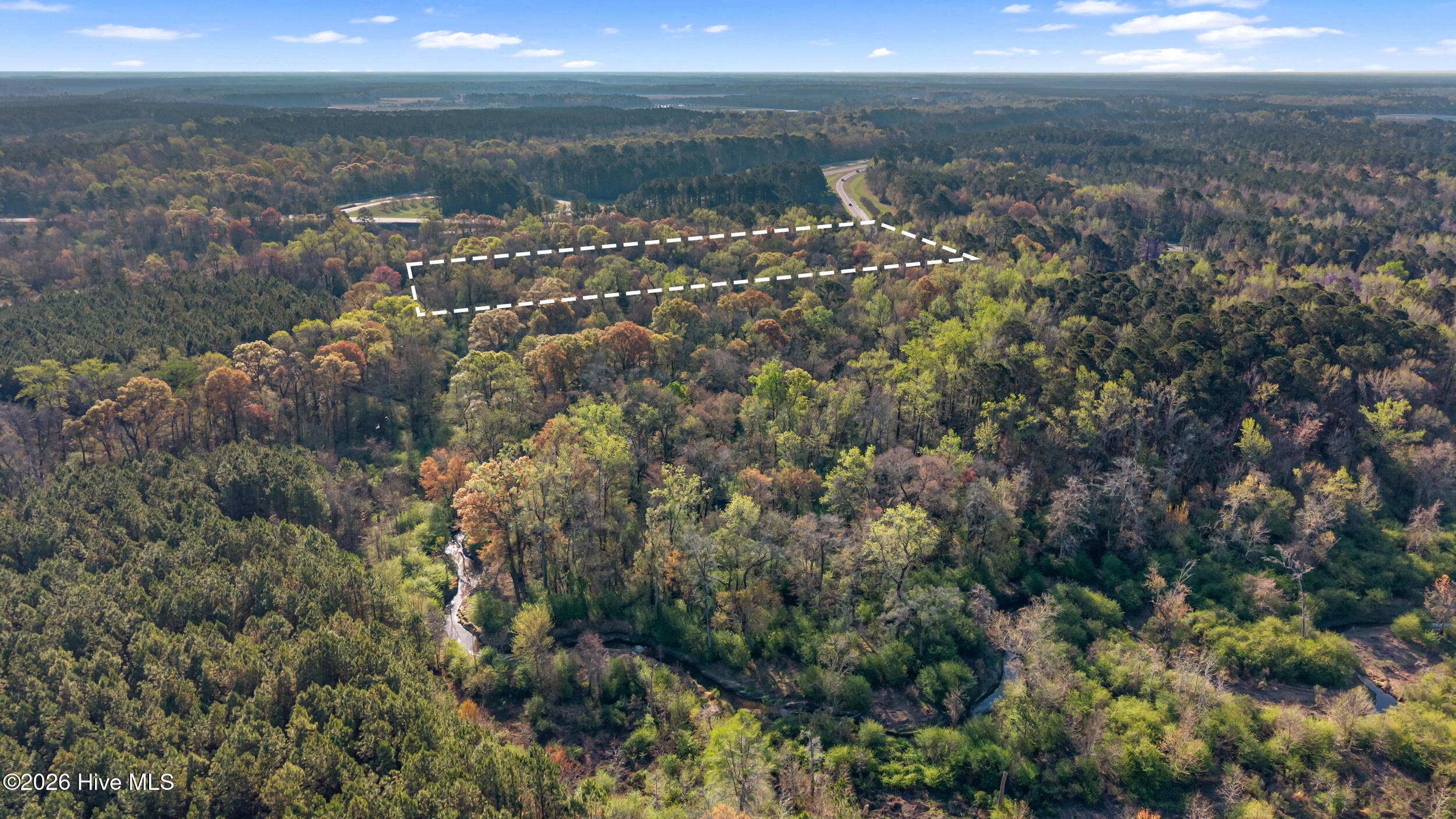 351 Burgaw Creek Loop Road Burgaw, NC 28425 - Photo 10 of 17 DJI_20260323092729_0028_D