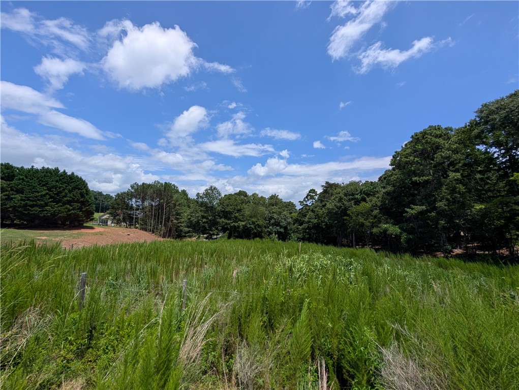 102 Sam Gerrard Road Anderson, SC 29626 - Photo 4 of 10 Level to Gently Sloping