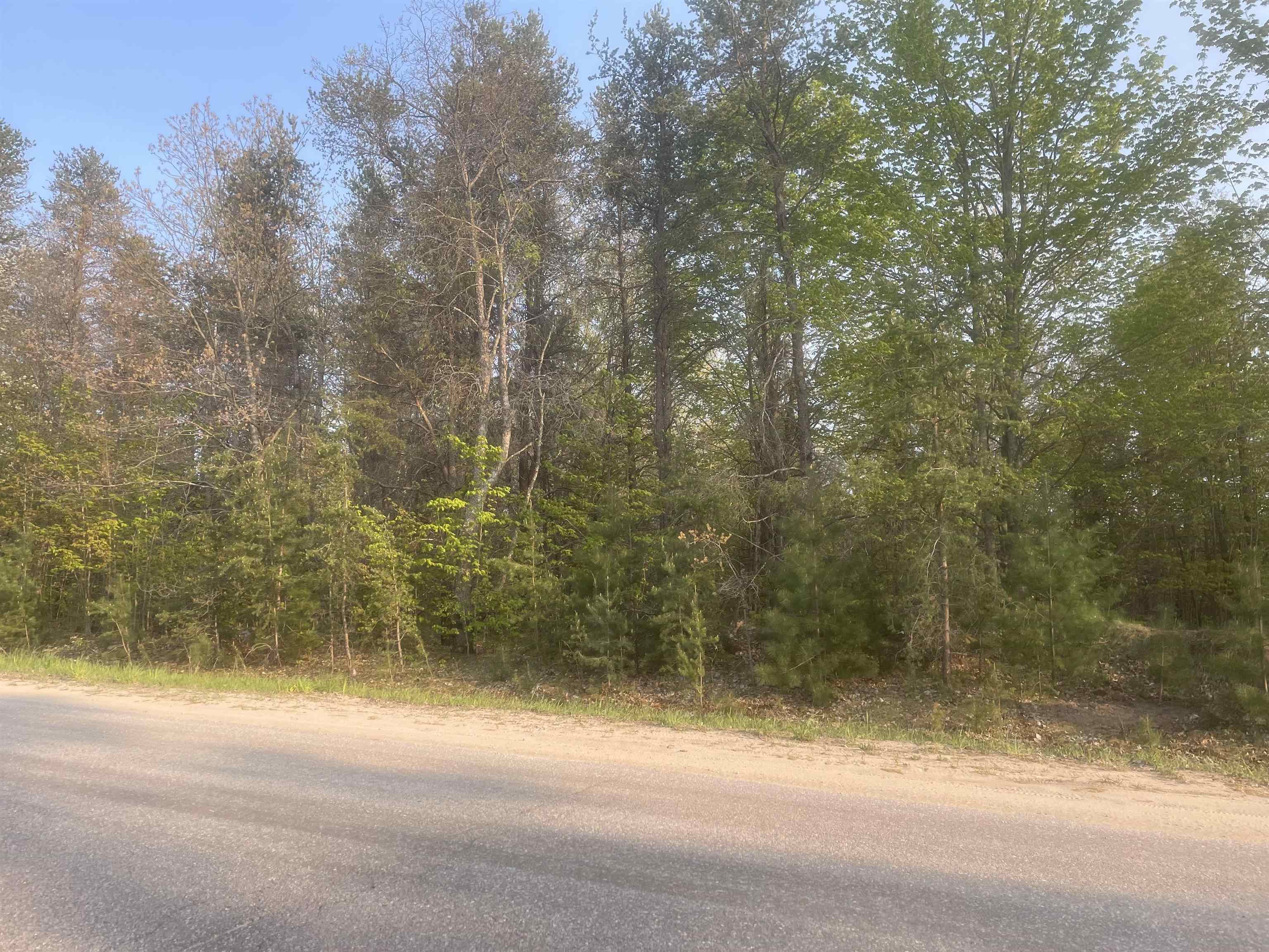 Lot G Lot G Riley, Unit LOT: G Interlochen, MI 49643 - Photo 9 of 10