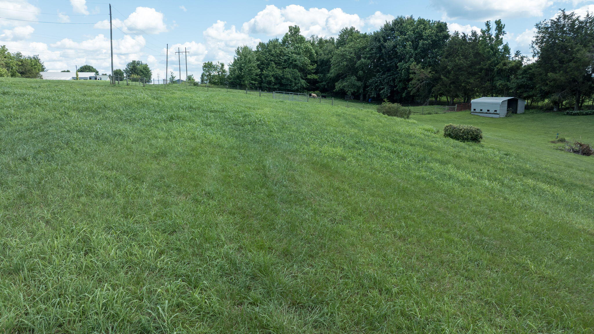 320 Alice Roy Road Windsor, KY 42565 - Photo 142 of 165 132-web-or-mls-WindsorHouseandLot-135