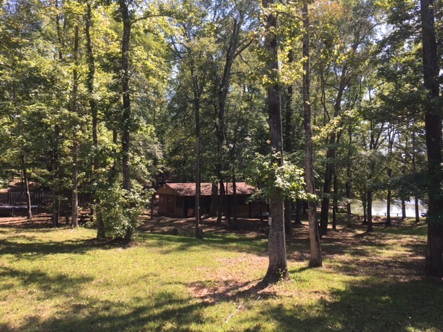 1031 Mt Paran Road Lizella, GA 31052 - Photo 12 of 23 a view of swimming pool with trees