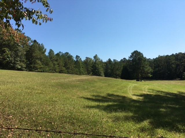 1031 Mt Paran Road Lizella, GA 31052 - Photo 4 of 23 a view of an outdoor space and a yard